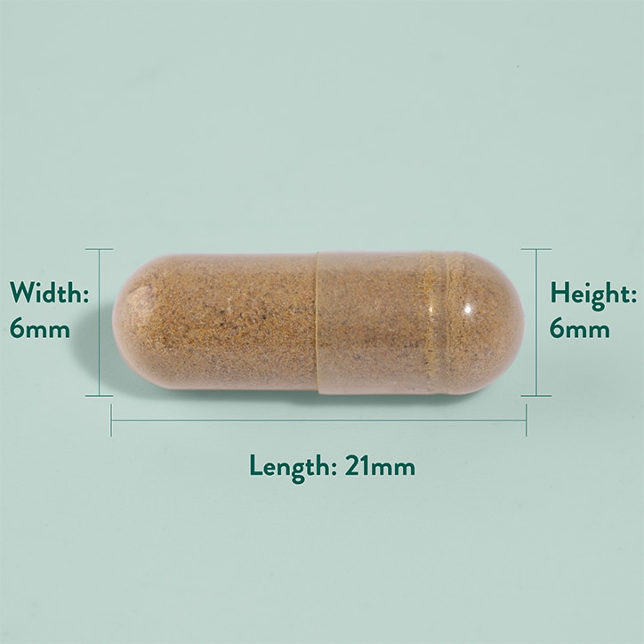 Holland & Barrett Herbal Digestive and Enzyme Formula 90 Capsules